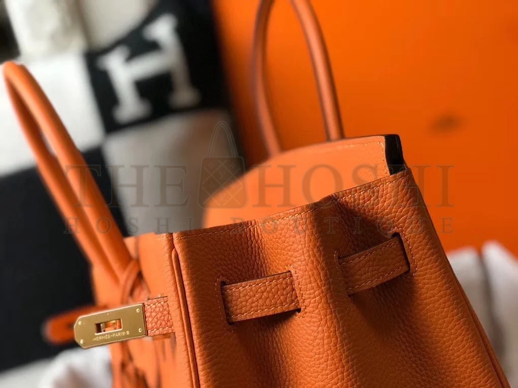 H**me5 Birkin 35 Bag in Orange Clemence Leather with GHW Master Quality