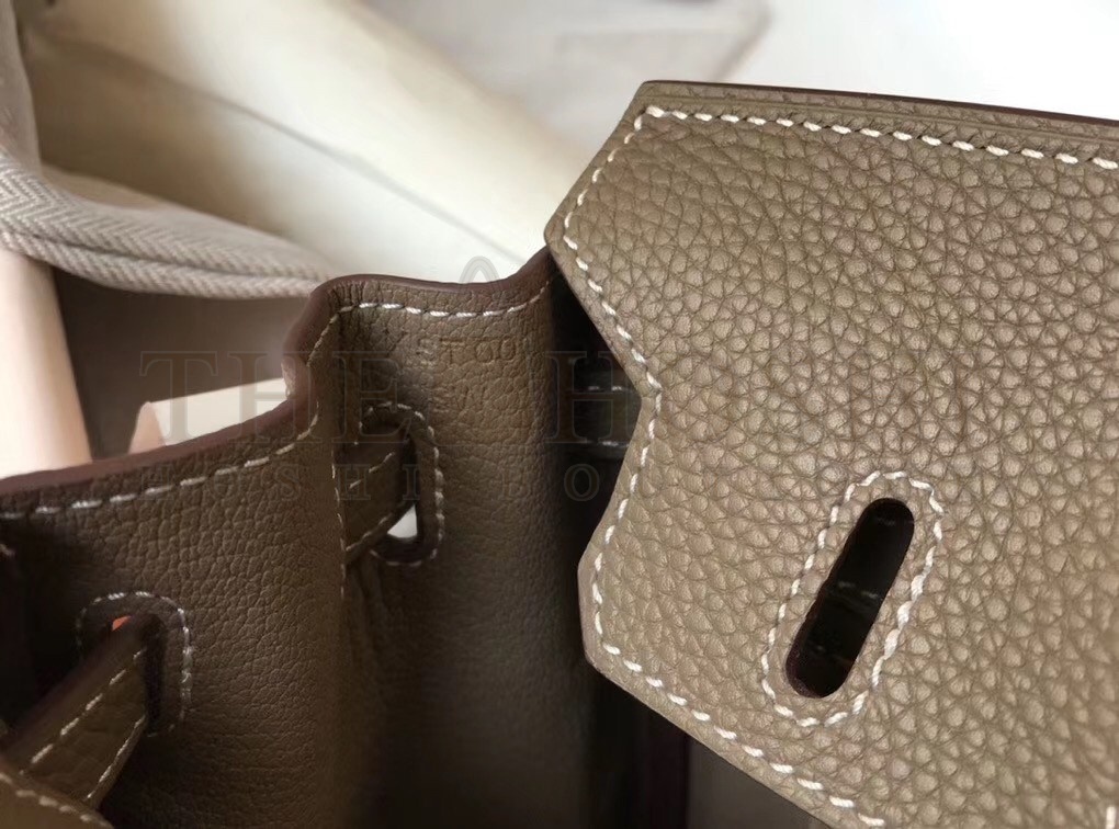 H**me5 Birkin 25cm Bag In Taupe Clemence Leather Master Quality