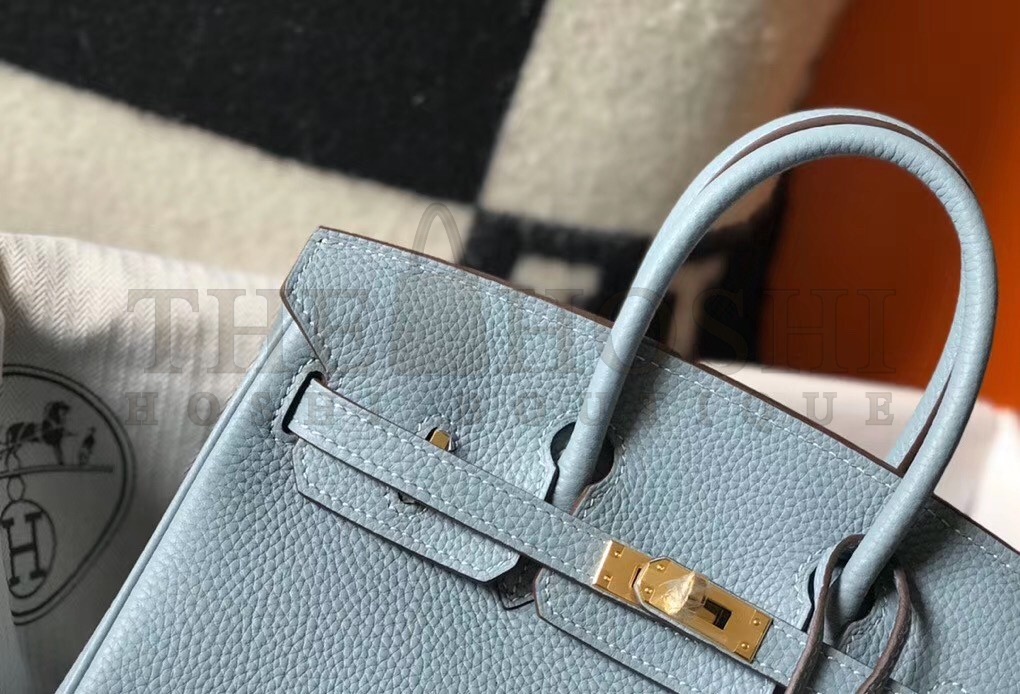 H**me5 Birkin 25 Bag In Blue Lin Clemence Leather with GHW Master Quality