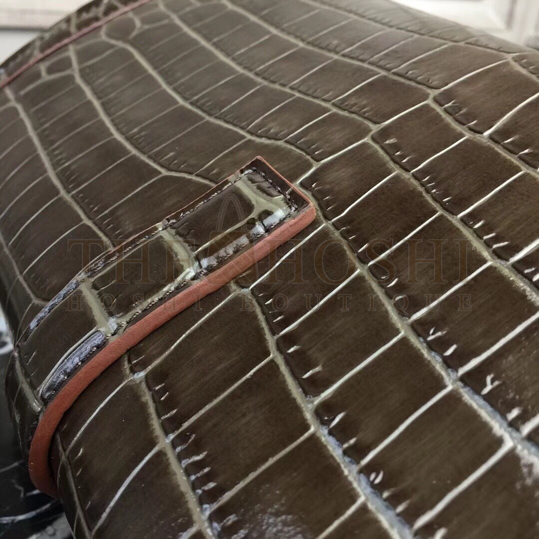 H**me5 Jige Elan 29 Clutch In Chocolate Crocodile Leather Master Quality