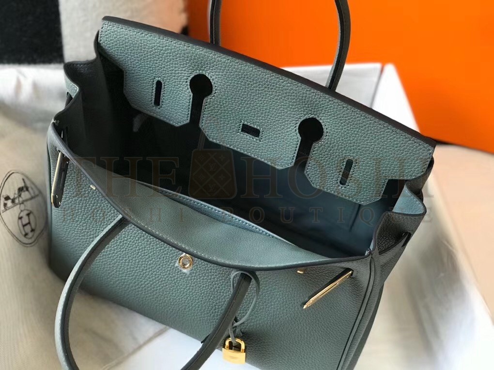 H**me5 Birkin 30 Bag in Vert Amande Clemence Leather with GHW Master Quality