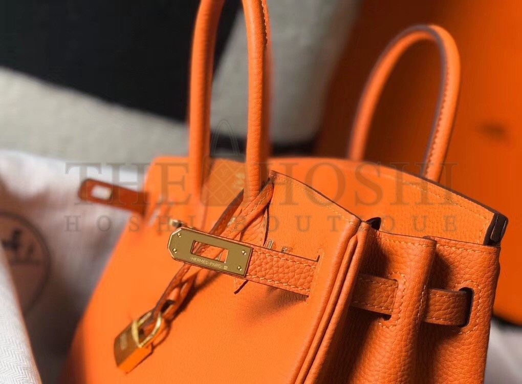 H**me5 Birkin 25 Bag In Orange Clemence Leather with GHW Master Quality