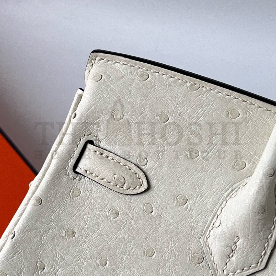 H**me5 Birkin 25 Retourne Handmade Bag In Beton Ostrich Leather Master Quality