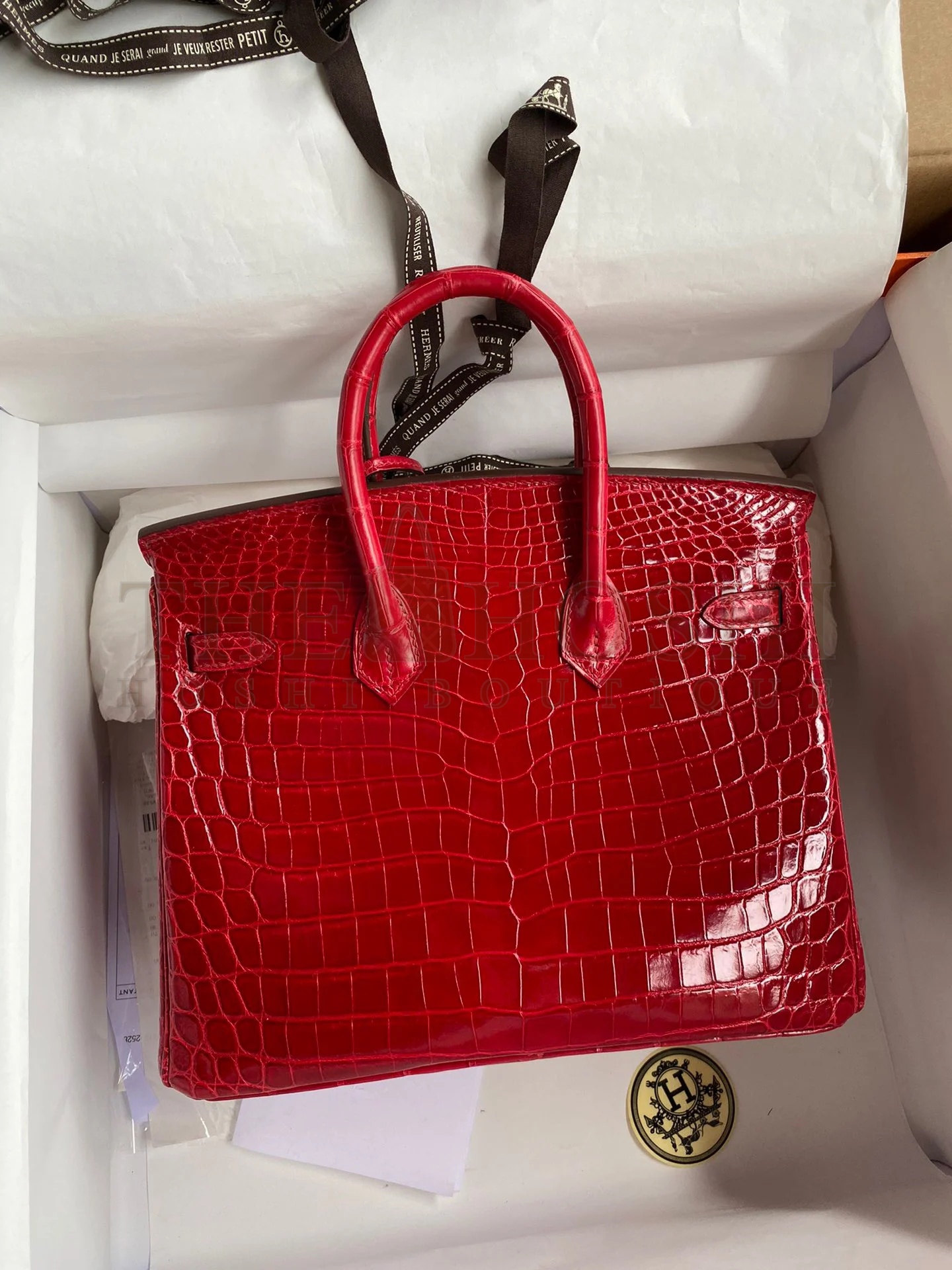 H**me5 Birkin 25 Handmade Bag In Red Crocodile Porosus Shiny Skin Master Quality