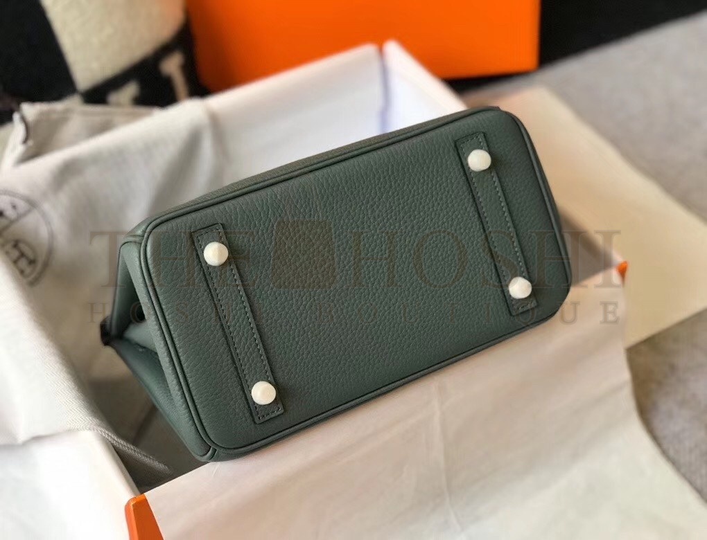 H**me5 Birkin 25cm Bag In Vert Amande Clemence Leather Master Quality