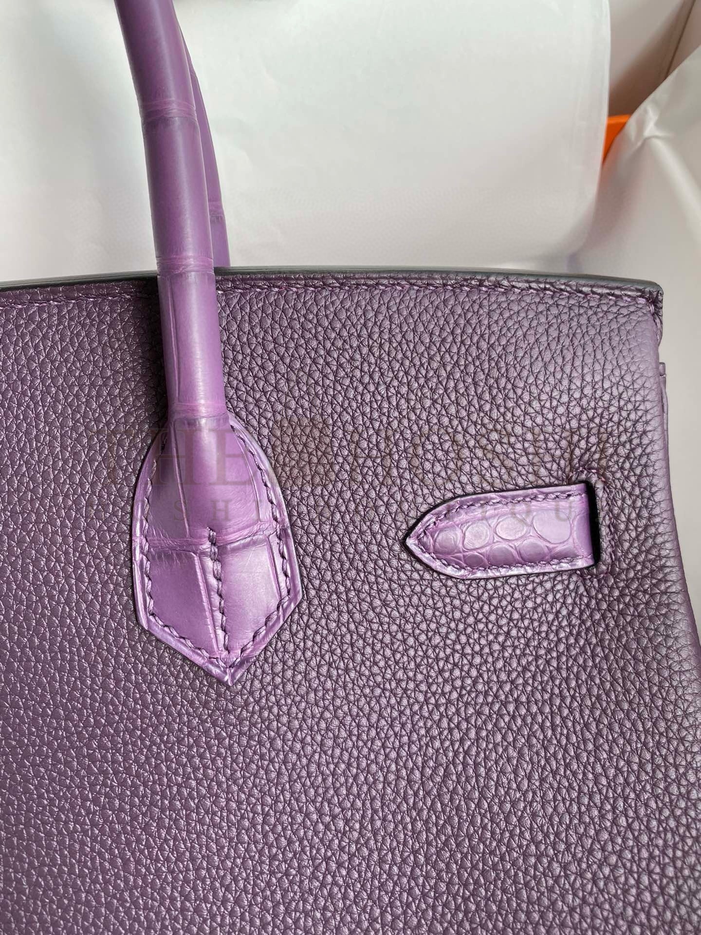 H**me5 Touch Birkin 30 Bag in Raisin Clemence and Matte Alligator Leather Master Quality