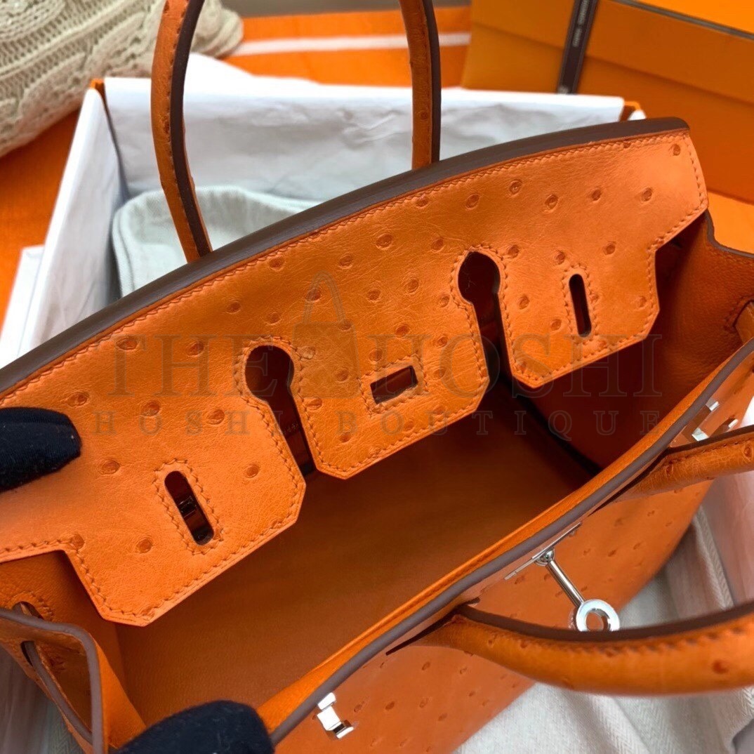 H**me5 Orange Birkin 25cm Ostrich Handmade Bag Master Quality