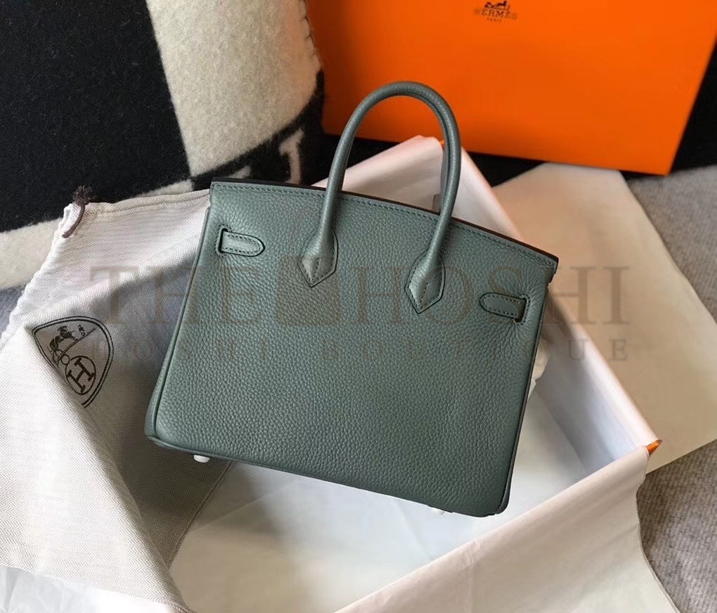 H**me5 Birkin 25cm Bag In Vert Amande Clemence Leather Master Quality