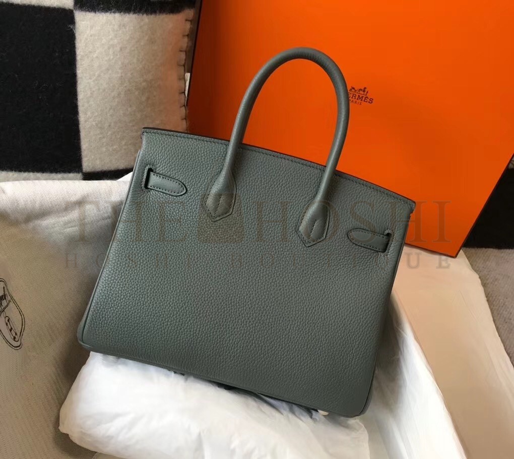H**me5 Birkin 30 Bag in Vert Amande Clemence Leather with GHW Master Quality