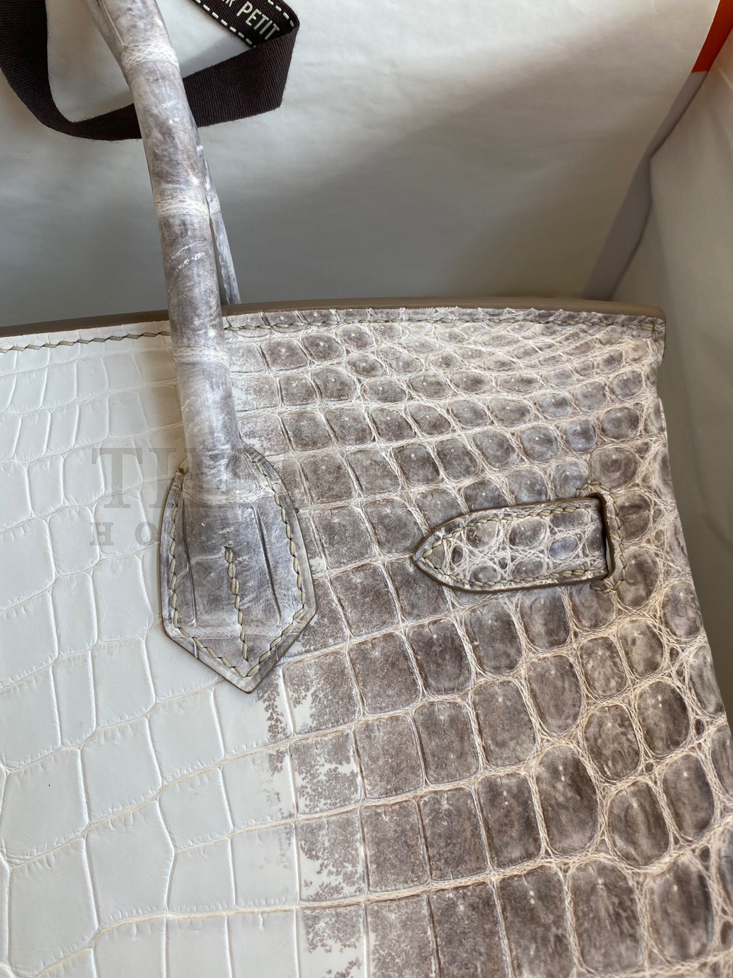 H**me5 Birkin 25 Retourne Bag In Himalaya Niloticus Crocodile Skin Master Quality