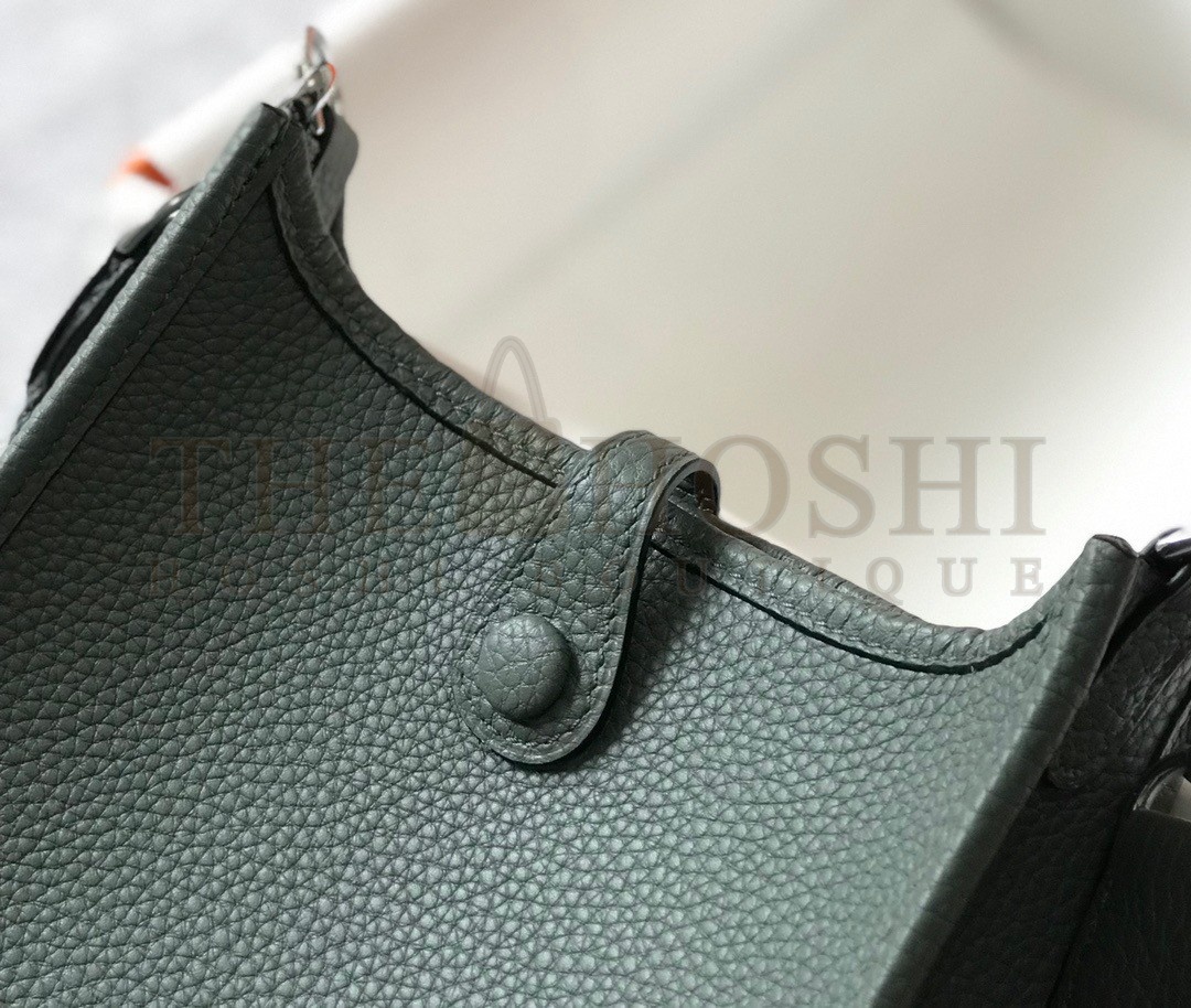 H**me5 Evelyne III Mini Bag In Vert Amande Clemence Leather Master Quality