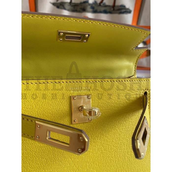 H**me5 Women Mini Kelly 20 Bag Suede Leather Gold Hardware-Gold Master Quality