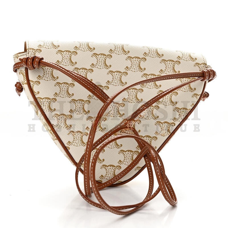 Ce1i*e CROSSBODY BAG IN TRIOMPHE CANVAS AND CALFSKIN 195902BZK.01BC (21*15*4cm) Master Quality